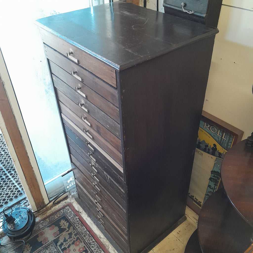 Wooden Butterfly Collectors Cabinet
