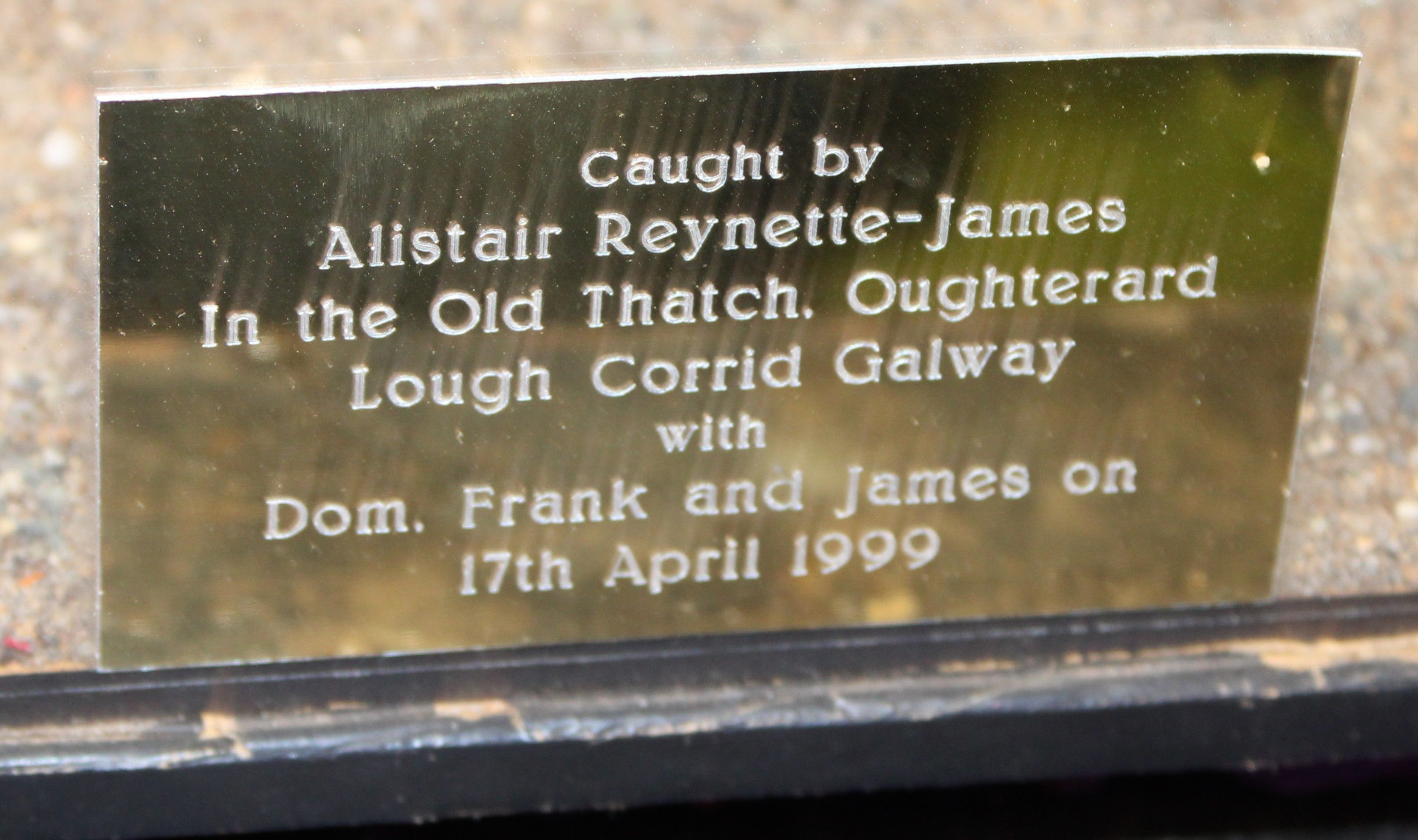 Large PIKE Fish Mounted in Glass Cabinet - 135cm Wide