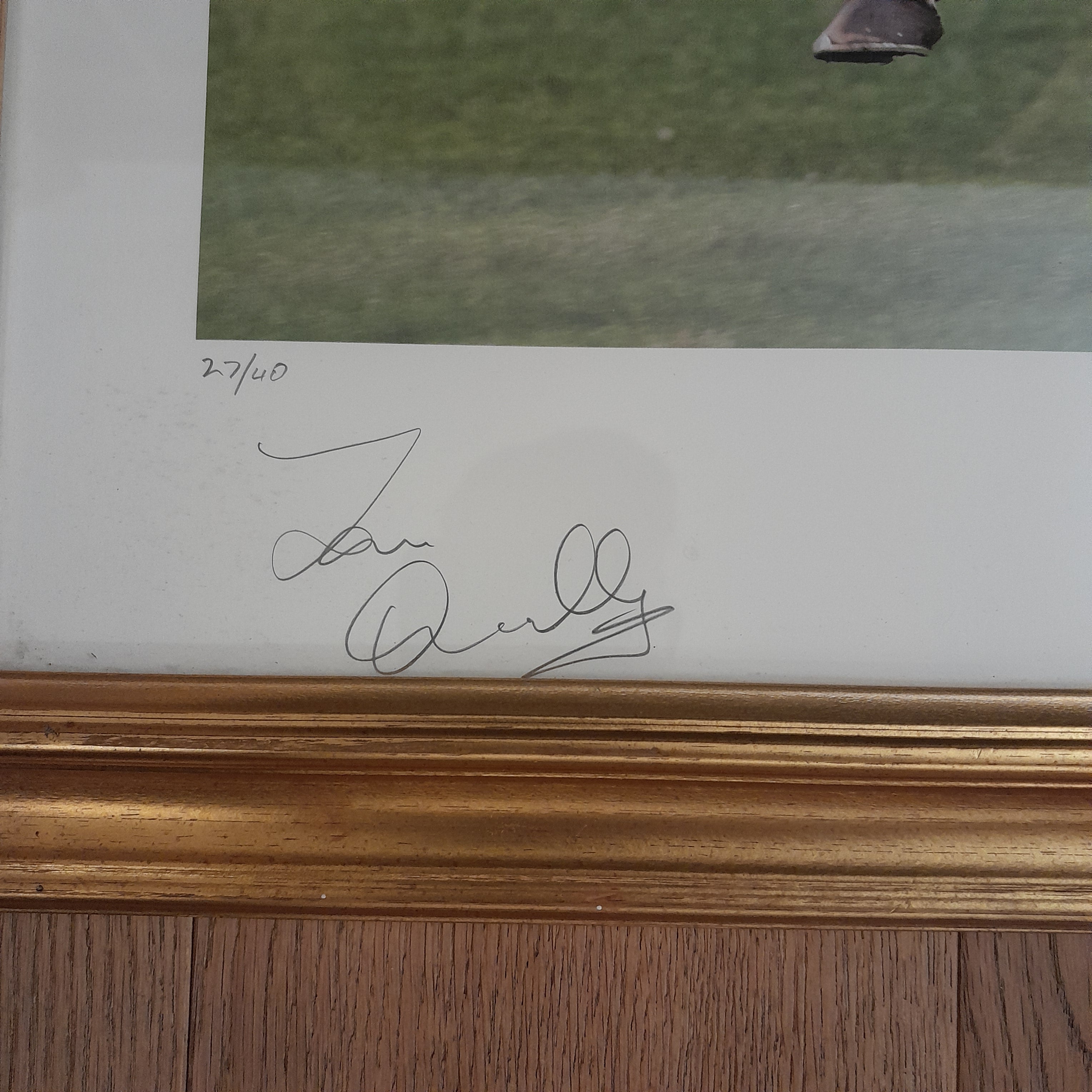 HORSE RACING - Framed Picture of FRANKEL Hand Signed by Tom Queally ( Jockey ) and Henry Cecil ( Trainer)